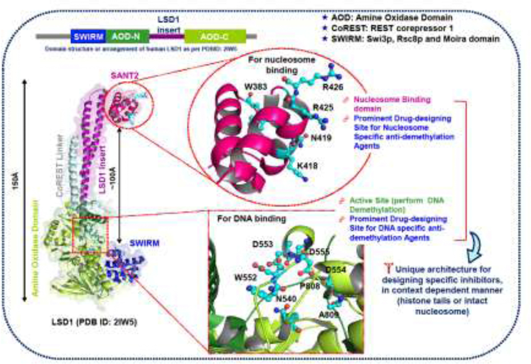 Figure 3: