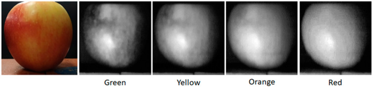 Figure 4