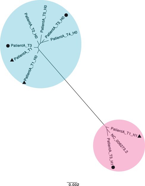 Figure 5.