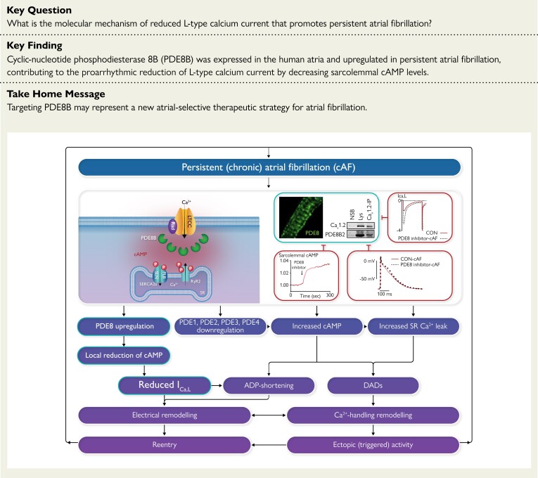 Structured Graphical Abstract