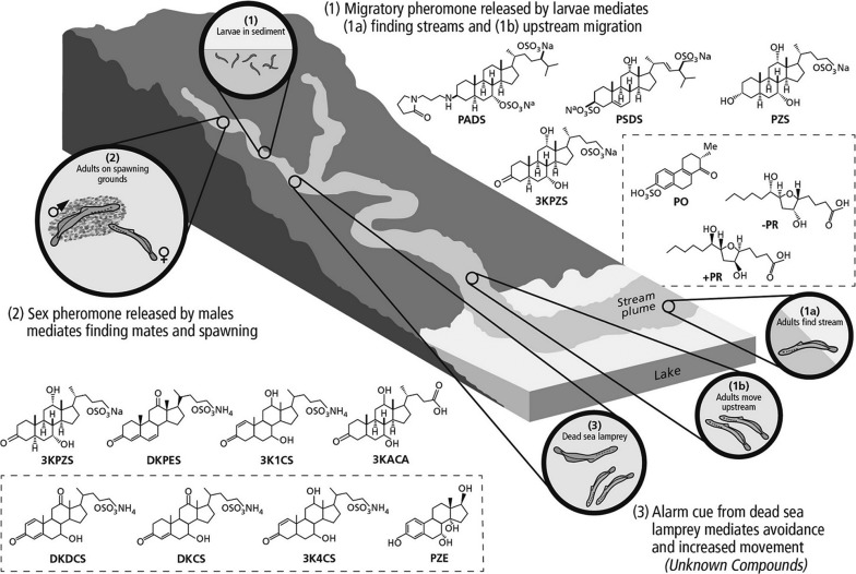 Figure 10: