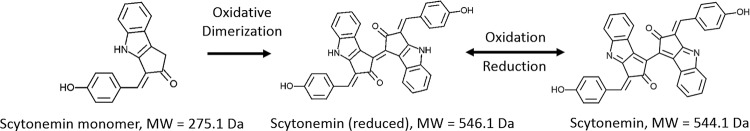 FIG 2