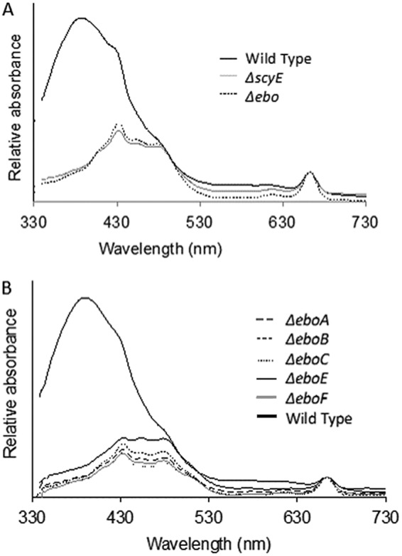 FIG 3