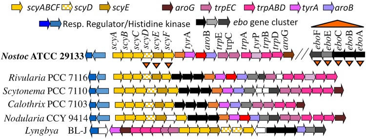 FIG 1