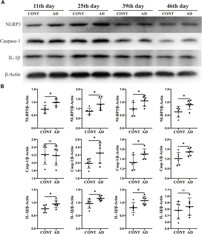 FIGURE 3