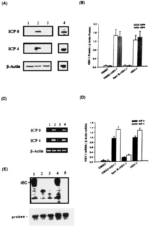 FIG. 9.