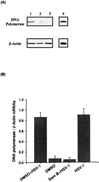 FIG. 8.