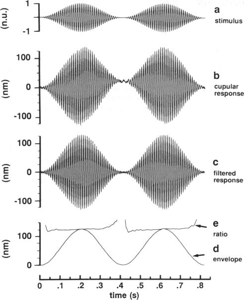 graphic file with name pnas01126-0365-a.jpg