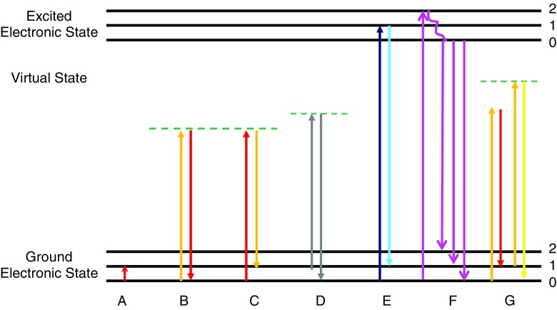 Fig. 3