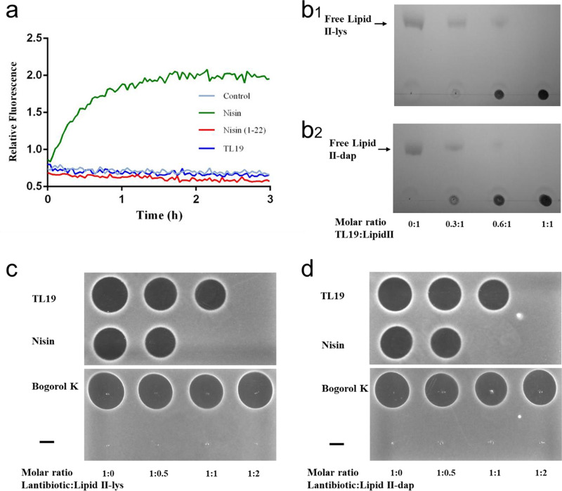 FIG 4