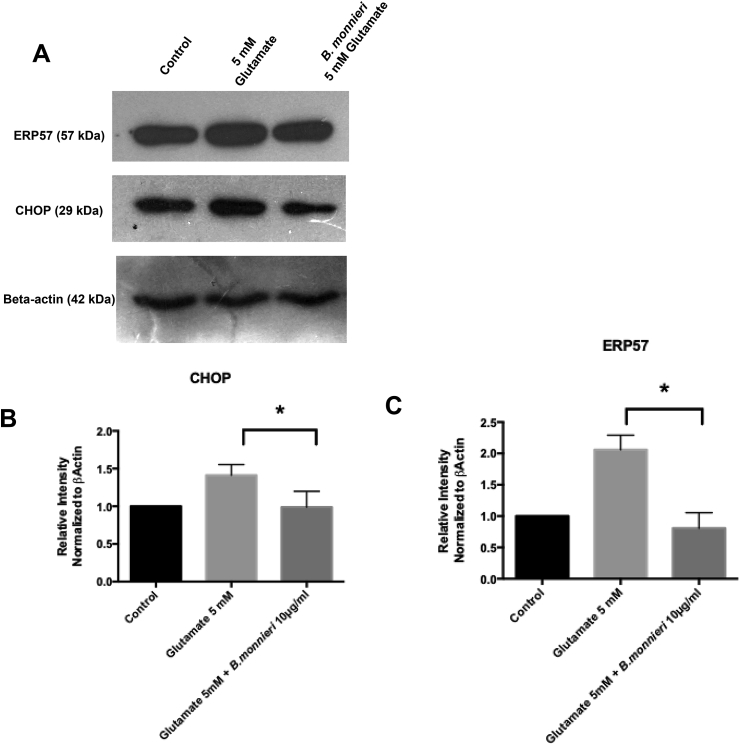 Fig. 6