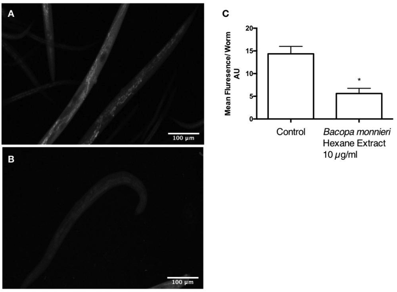 Fig. 8