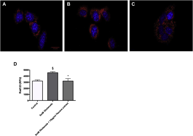 Fig. 4