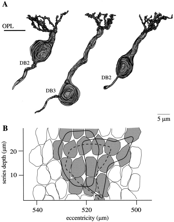 Fig. 9.