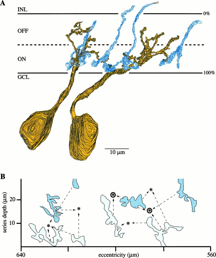 Fig. 2.