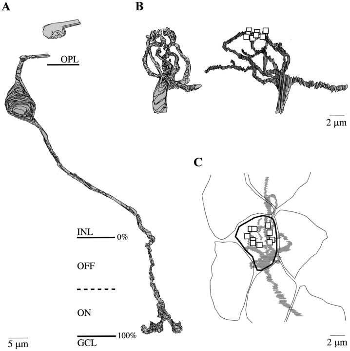 Fig. 7.