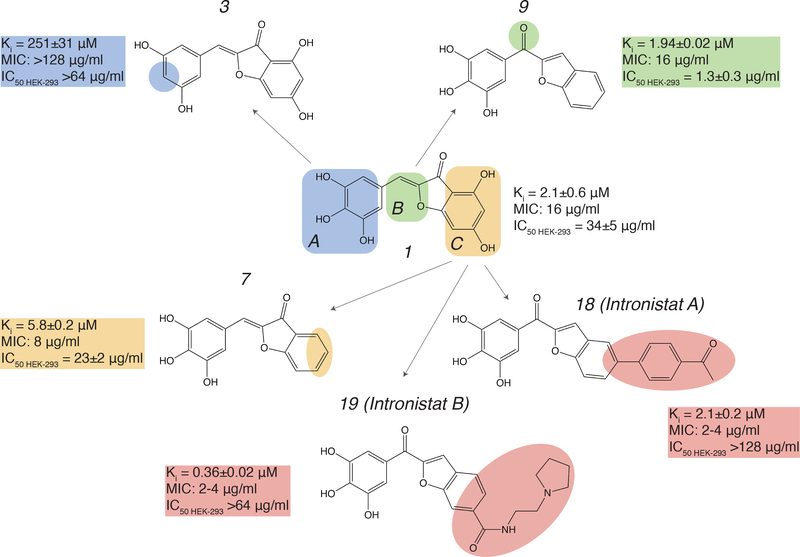 Figure 2.