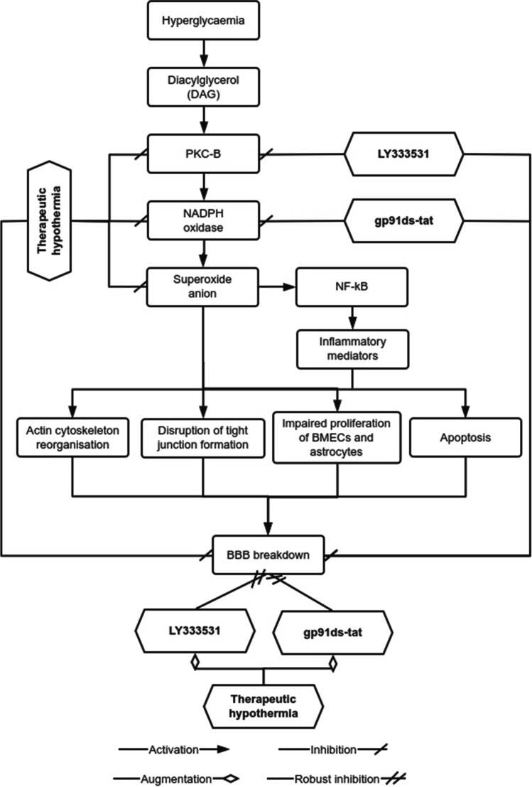 Fig. 10