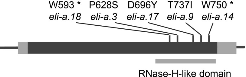 Figure 5.