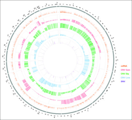 FIG 6.