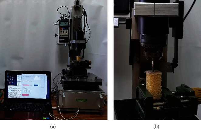 Figure 2