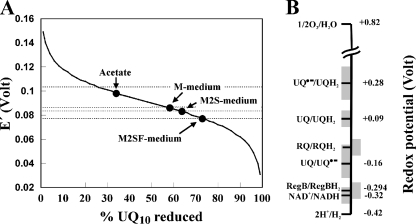 FIG. 5.