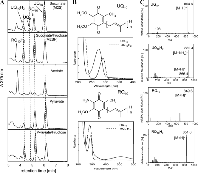 FIG. 2.