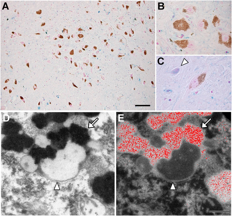 Fig. 7