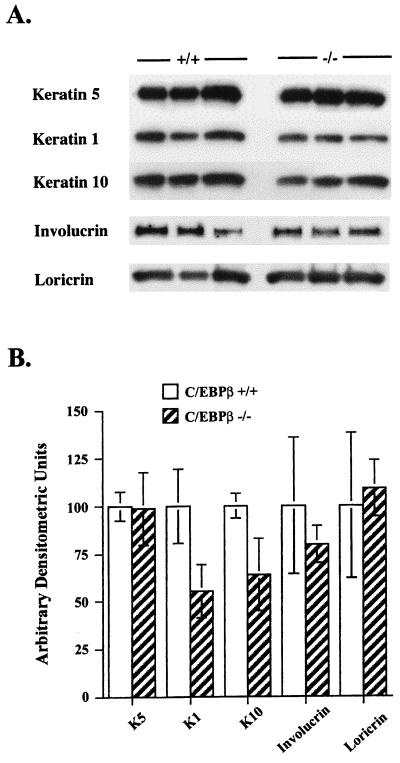 FIG. 8