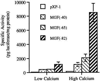 FIG. 1