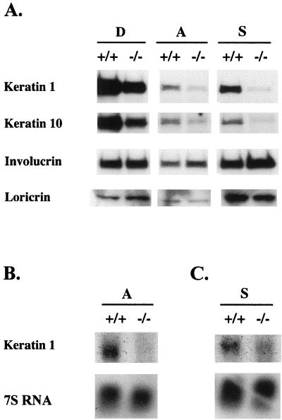 FIG. 9