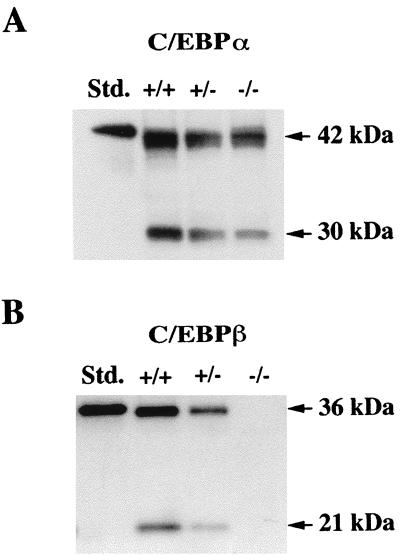 FIG. 7