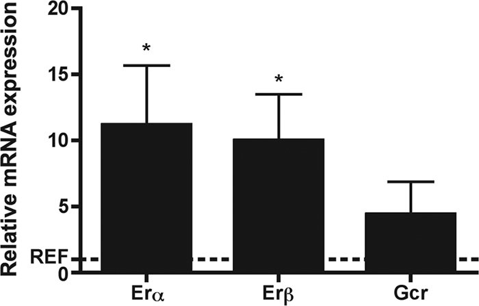 FIG. 2.