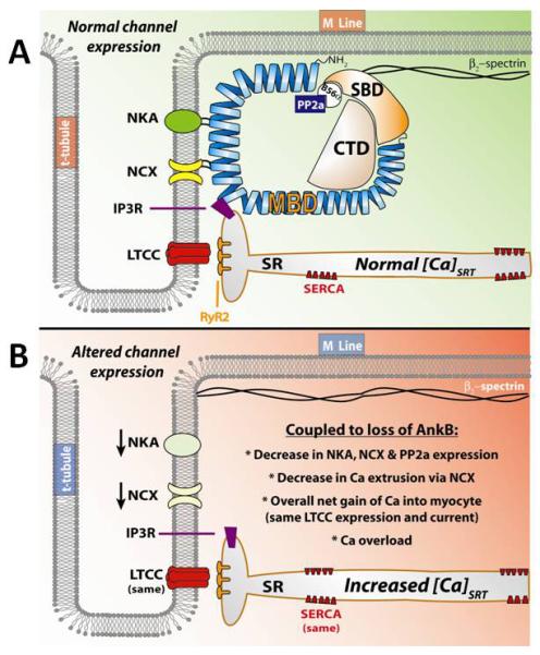 Figure 2)