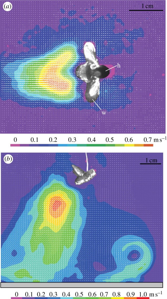 Figure 4.