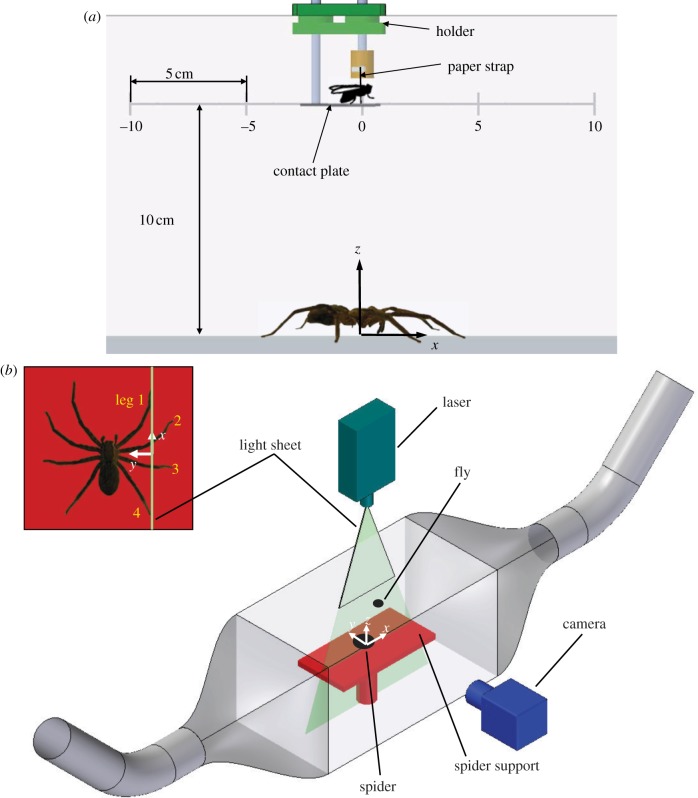 Figure 1.