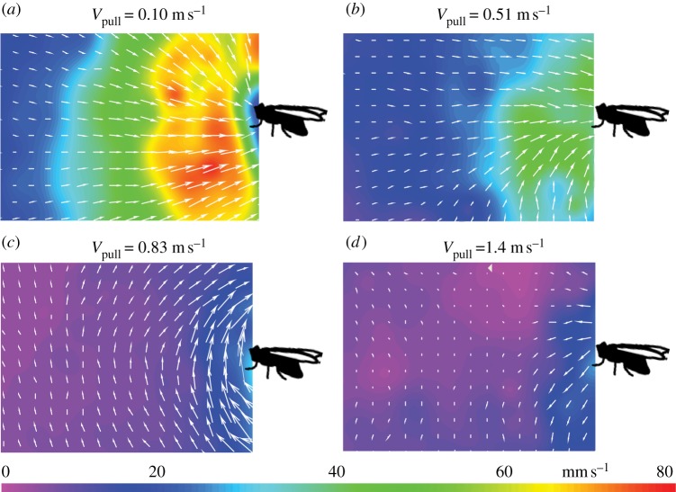 Figure 6.