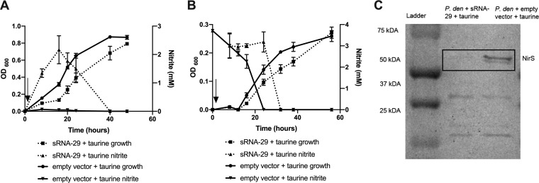 FIG 3