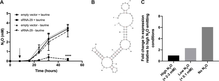 FIG 1