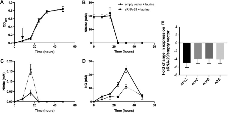 FIG 2