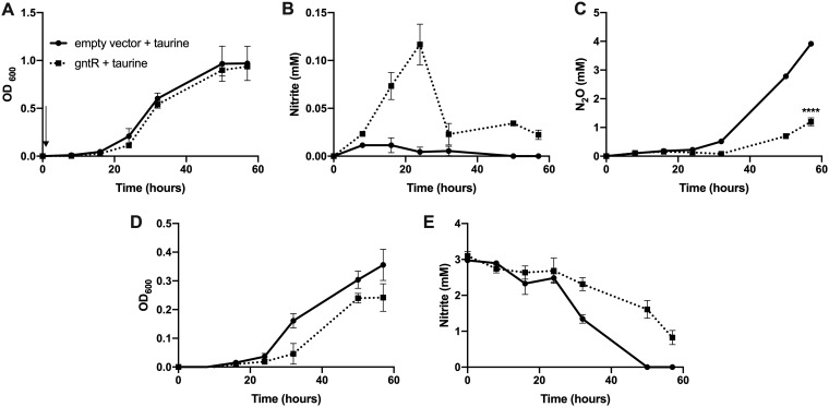 FIG 6