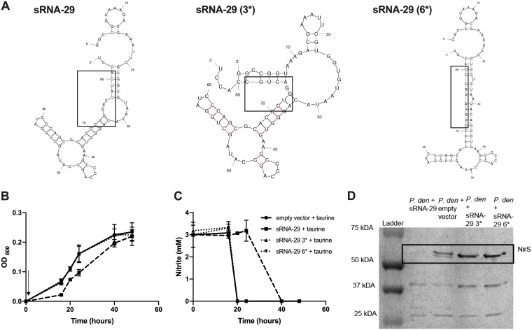 FIG 4