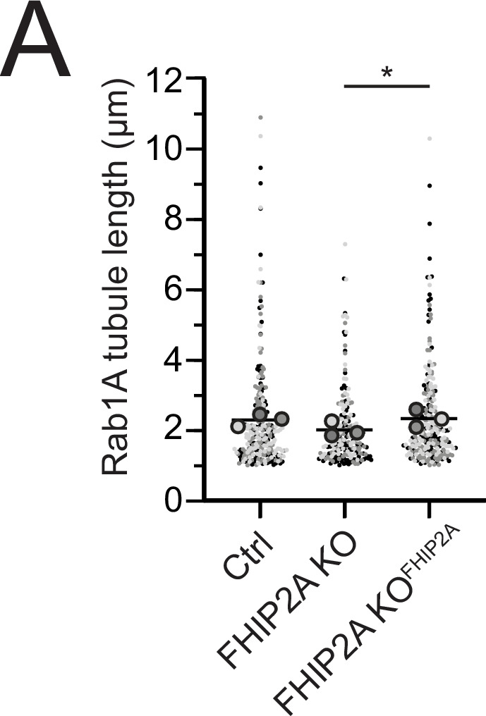 Figure 7—figure supplement 1.