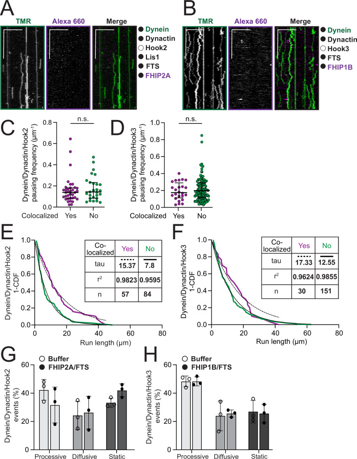 Figure 3—figure supplement 2.