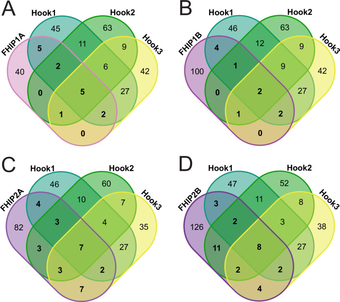 Figure 1—figure supplement 2.