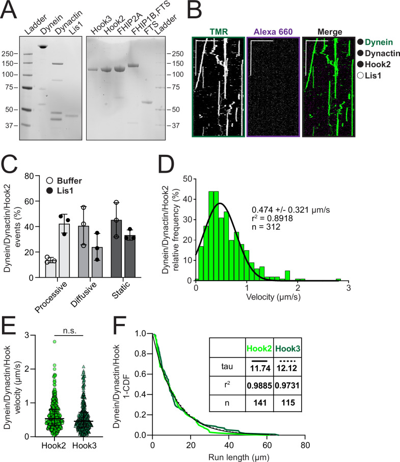 Figure 3—figure supplement 1.