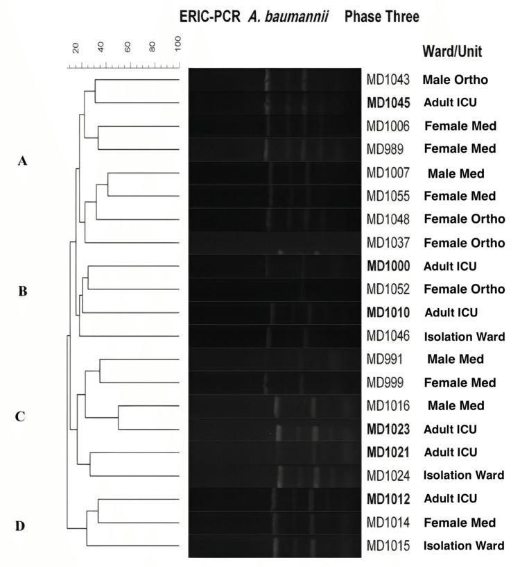 Figure 6