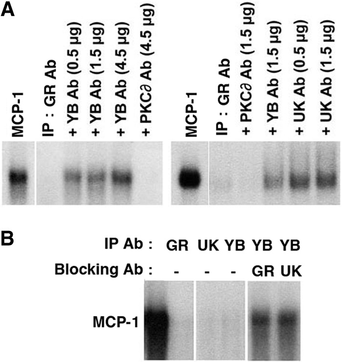 Fig 7