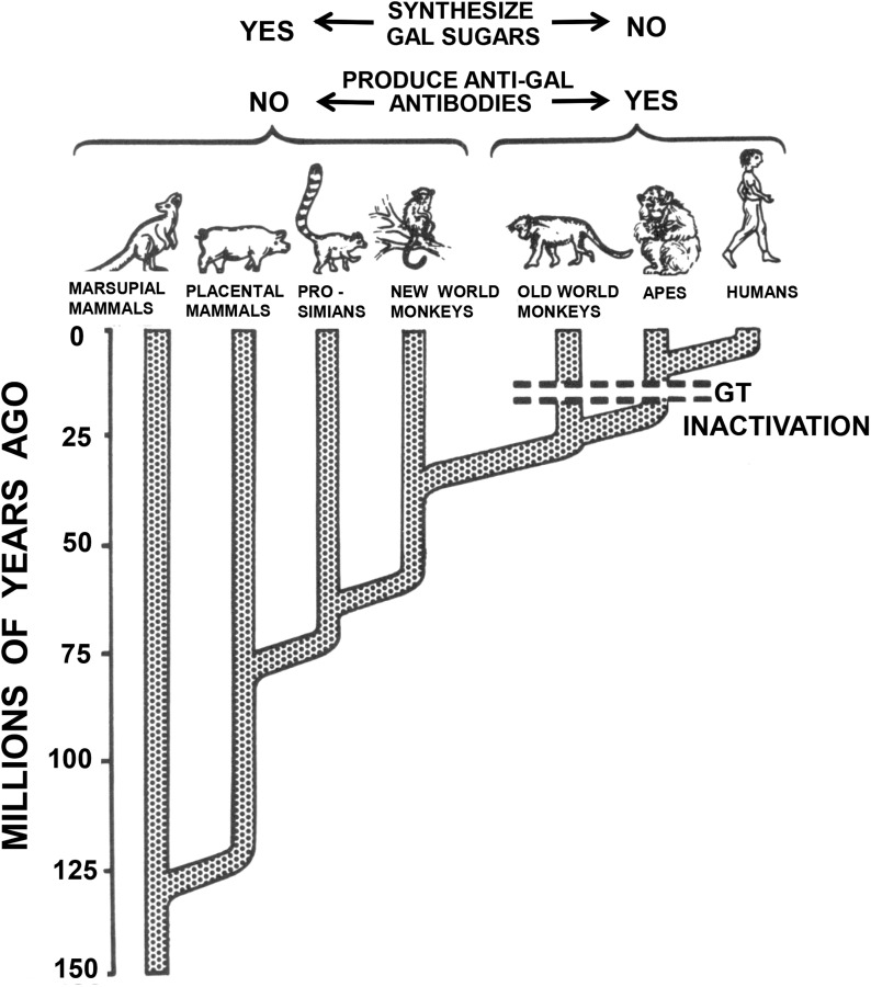 Fig. 2.