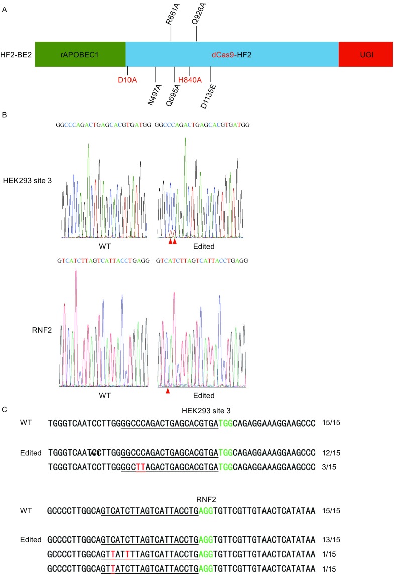 Figure 1